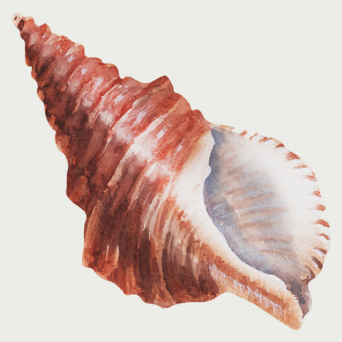 Orenco Originals Beach Sealife Nautical Conch Shell Counted Cross Stitch Pattern