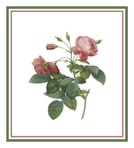 Rosa Gallica Flower Pierre-Joseph Redoute Counted Cross Stitch Pattern