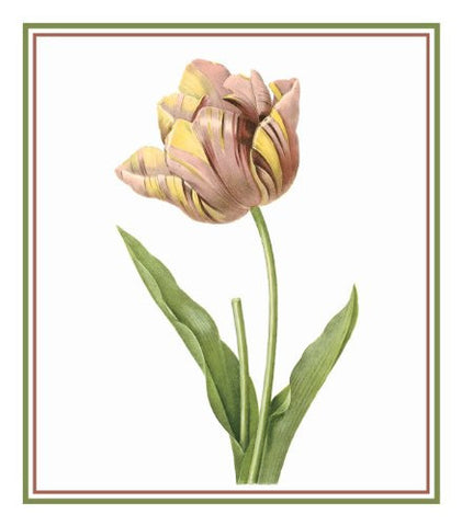 Tulip Flower Illustration inspired by Pierre-Joseph Redoute Counted Cross Stitch Pattern