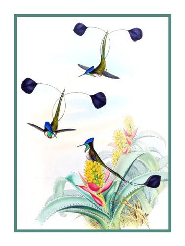 Spatula Winged Hummingbirds by Naturalist John Gould Bird Counted Cross Stitch Pattern