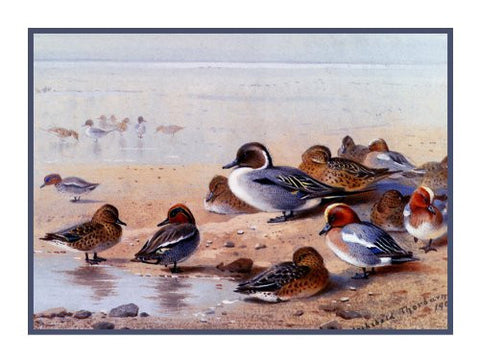 Pintail Wigeon Ducks by Naturalist Archibald Thorburn's Birds Counted Cross Stitch Pattern