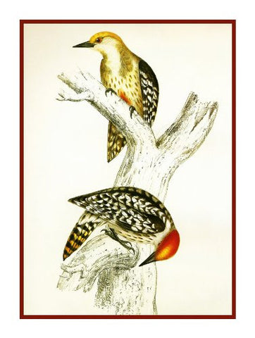 Yellow Woodpeckers by Naturalist John Gould of Birds Counted Cross Stitch Pattern