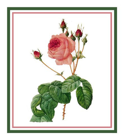 Langlois Tea Rose FlowerInspired by Pierre-Joseph Redoute Counted Cross Stitch Pattern