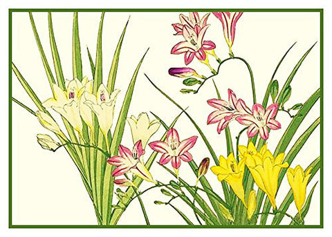 Tanigami Konan Asian Freesia Flowers Counted Cross Stitch Pattern