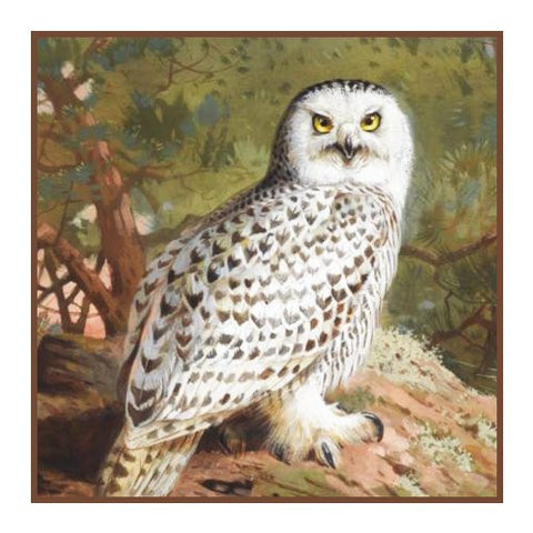 Snowy Owl By Naturalist Archibald Thorburn's Counted Cross Stitch Pattern