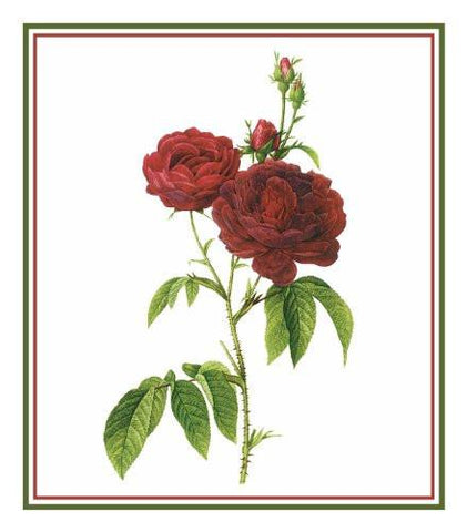 Bishops Rose Flower Inspired by Pierre-Joseph Redoute Counted Cross Stitch Pattern DIGITAL DOWNLOAD