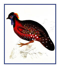 [product_title] - Orenco Originals LLC Counted Cross Stitch