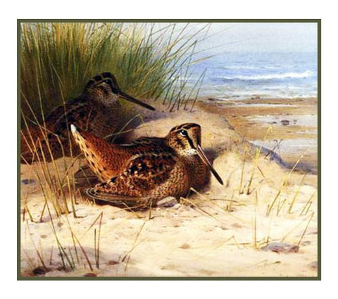 Woodcock Nesting on the Beach by Naturalist Archibald Thorburn's Bird Counted Cross Stitch Pattern