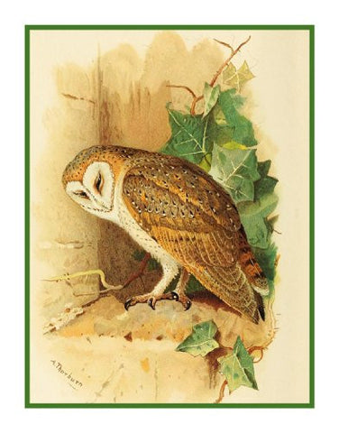 Barn Owl Detail By Naturalist Archibald Thorburn's Bird Counted Cross Stitch Pattern