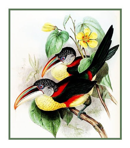 Collared Toucans by Naturalist John Gould of Bird Counted Cross Stitch Pattern