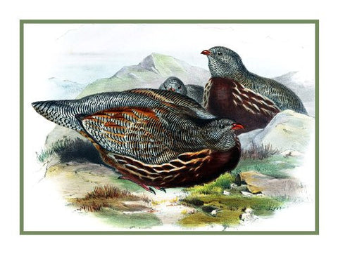 Snow Partridge by Naturalist John Gould Birds Counted Cross Stitch Pattern