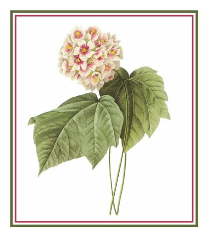 Pink Snowball Flower Inspired by Pierre-Joseph Redoute Counted Cross Stitch Pattern
