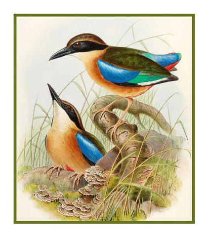 Blue Winged Pitta by Naturalist John Gould of Bird Counted Cross Stitch Pattern