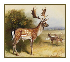 [product_title] - Orenco Originals LLC Counted Cross Stitch