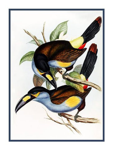 Mountain Toucans by Naturalist John Gould of Birds Counted Cross Stitch Pattern