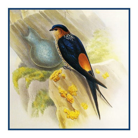 Red Rumped Swallow Detail by Naturalist John Gould Birds Counted Cross Stitch Pattern