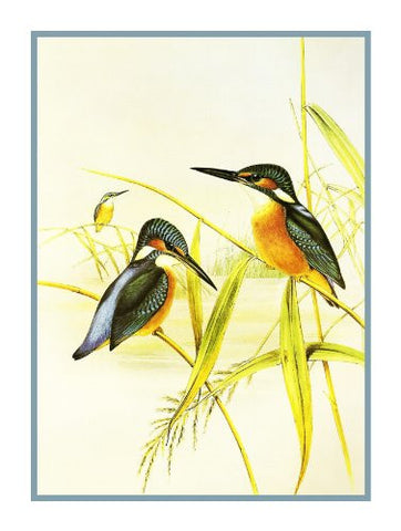 Common Kingfishers by Naturalist John Gould Birds Counted Cross Stitch Pattern
