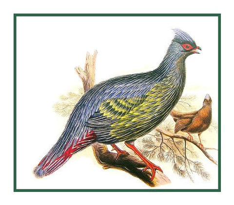 Blood Tragopan Pheasant by Naturalist John Gould Birds Counted Cross Stitch Pattern