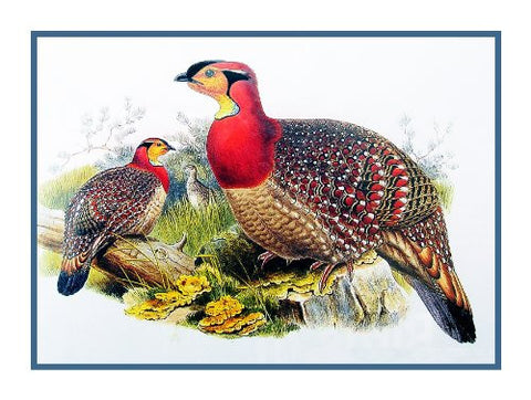 Blyth Wood Pheasant by Naturalist John Gould Birds Counted Cross Stitch Pattern