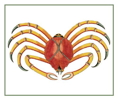 Fallours' Renard's Fantastic Colorful Tropical Crab 4 Counted Cross Stitch Pattern