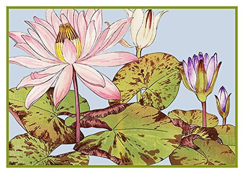 Tanigami Konan Asian Lotus Flower Counted Cross Stitch Pattern