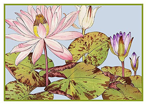 Tanigami Konan Asian Lotus Flower Counted Cross Stitch Pattern DIGITAL DOWNLOAD