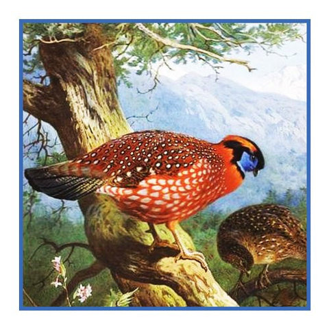 Temminks Tragopan Pheasant by Naturalist Archibald Thorburn's Bird Counted Cross Stitch Pattern