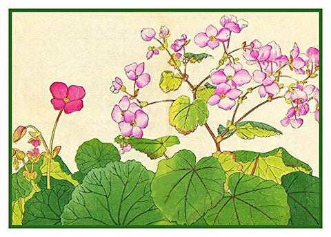 Tanigami Konan Asian Begonia Flowers Counted Cross Stitch Pattern