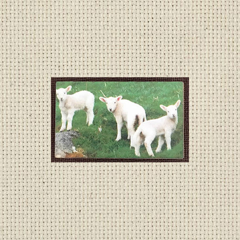 SPRING LAMBS-Trio of Trouble- NEEDLE MINDER By Kelmscott Designs