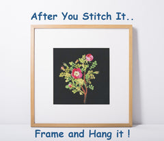 [product_title] - Orenco Originals LLC Counted Cross Stitch