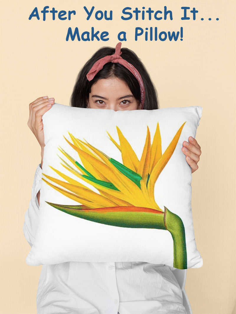 [product_title] - Orenco Originals LLC Counted Cross Stitch