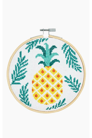 PINEAPPLE - DMC Stitch Kit -  Great for a New Stitcher!